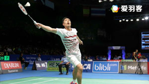 的共同参与 的共同参与