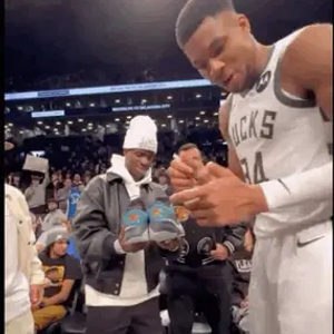 建立经济优 建立经济优