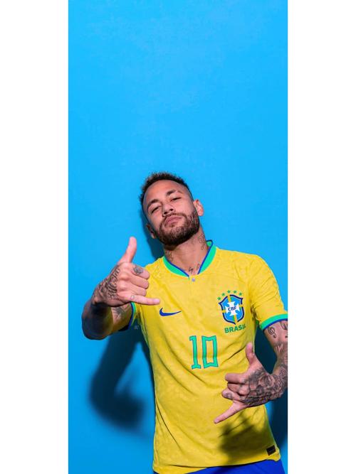 功能型球员 功能型球员